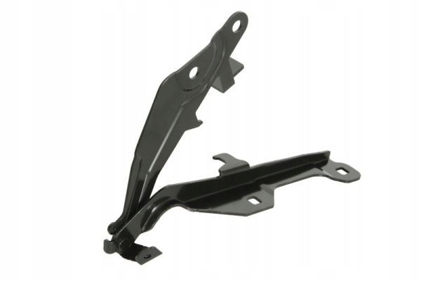 ПЕТЛЯ МАСКИ 6802-00-2589452P BLIC