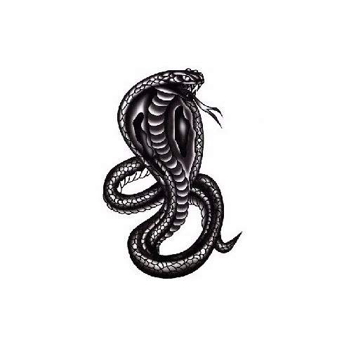 

tatuaż wodny zmywalny ścieralny Kobra 10,5x6 cm