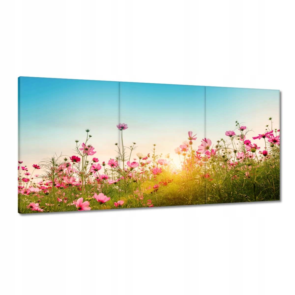 Obrazy 180x90 Vesmírne kvety