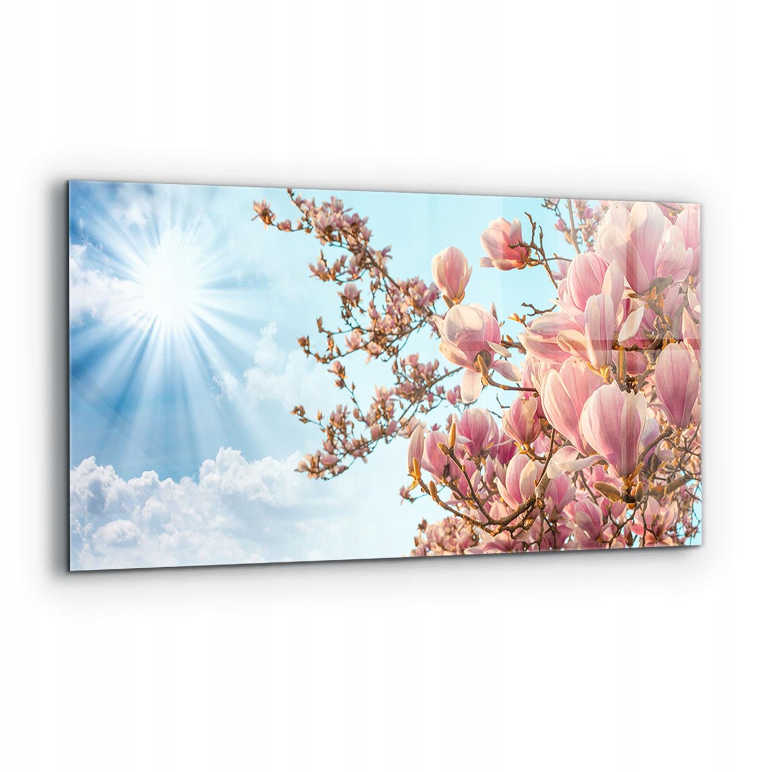 Panel s foto potlačou Kvitnúca Magnólia 120 x 60 cm