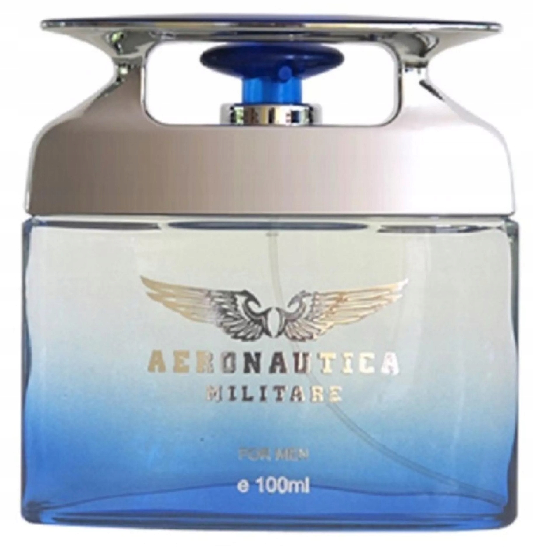 Aeronautica Militare For Men Pánská parfémovaná voda 100 ml Edp