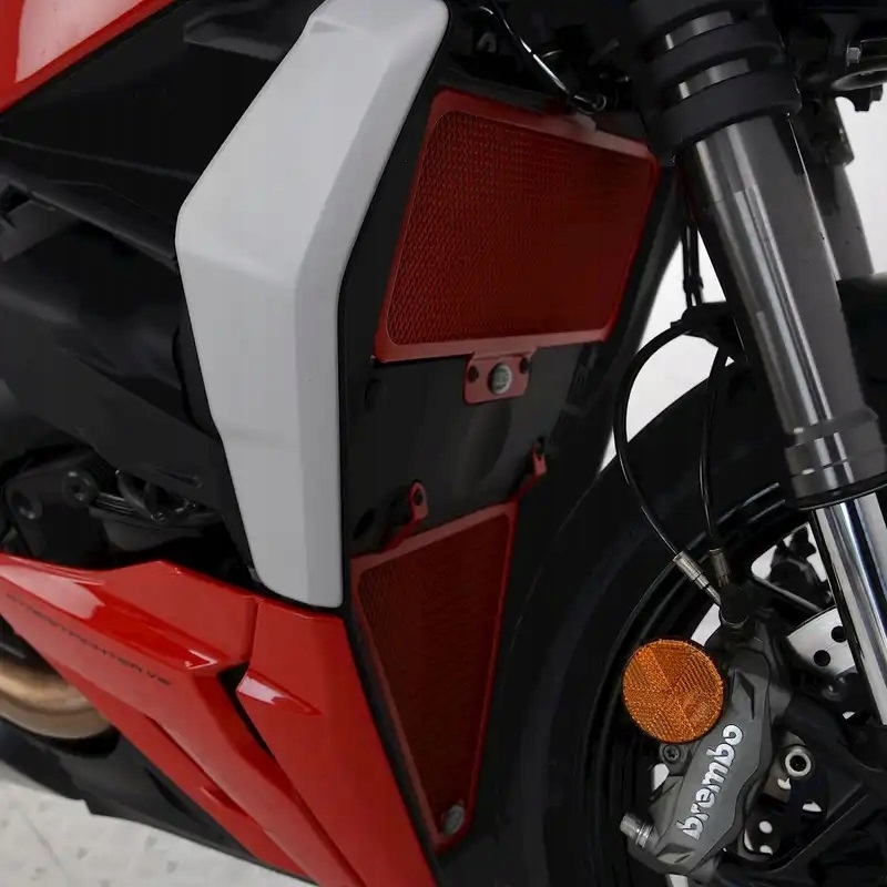 Kryt Chladiča Rg Racing Ducati Streetfighter V2 '22-