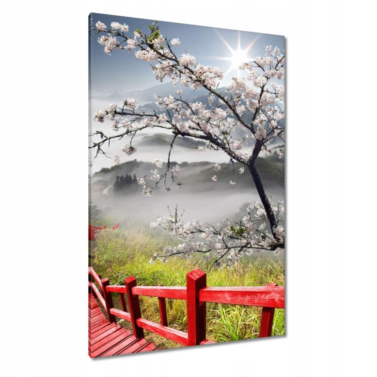 Obrazy 80x120 Červený most v Japonsku