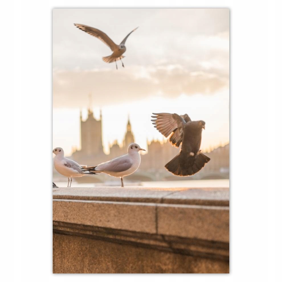 

Plakaty 40x60 Poruszenie przy Big Benie