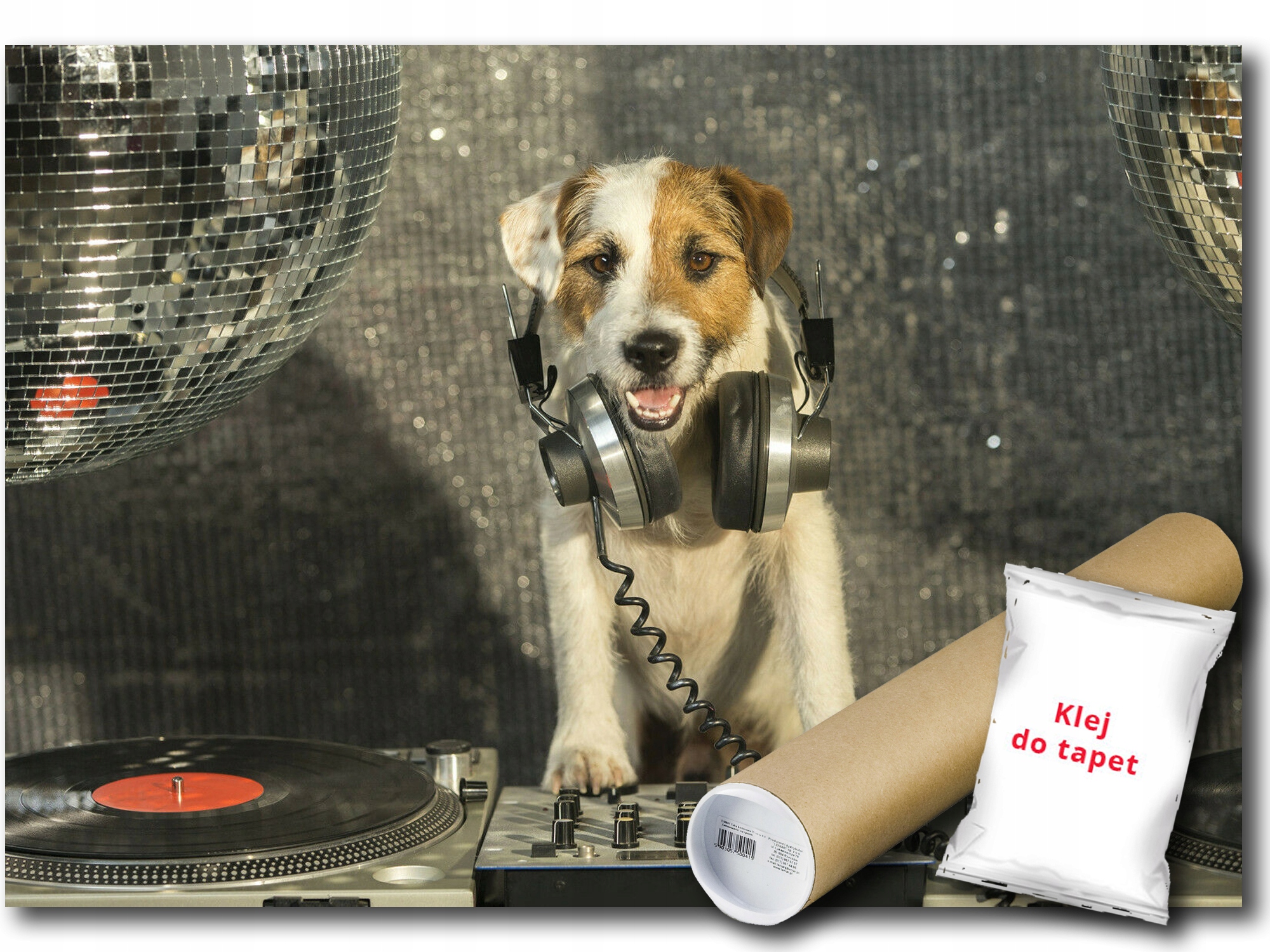 Vinylová Fototapeta Pes Dj Didžej Disco 208x146