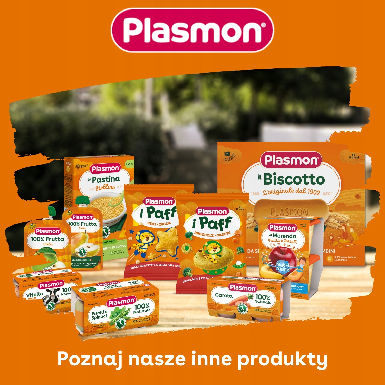 PLASMON Biszkopty dla dzieci 320g Wiek podawania od 6 miesiąca