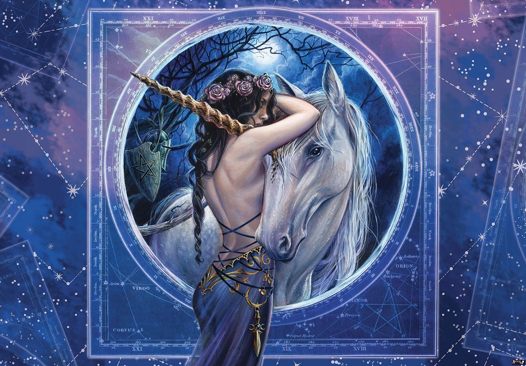 Vliesová Fototapeta 460x300 Hvězdná víla s jednorožcem v noci +lepidlo