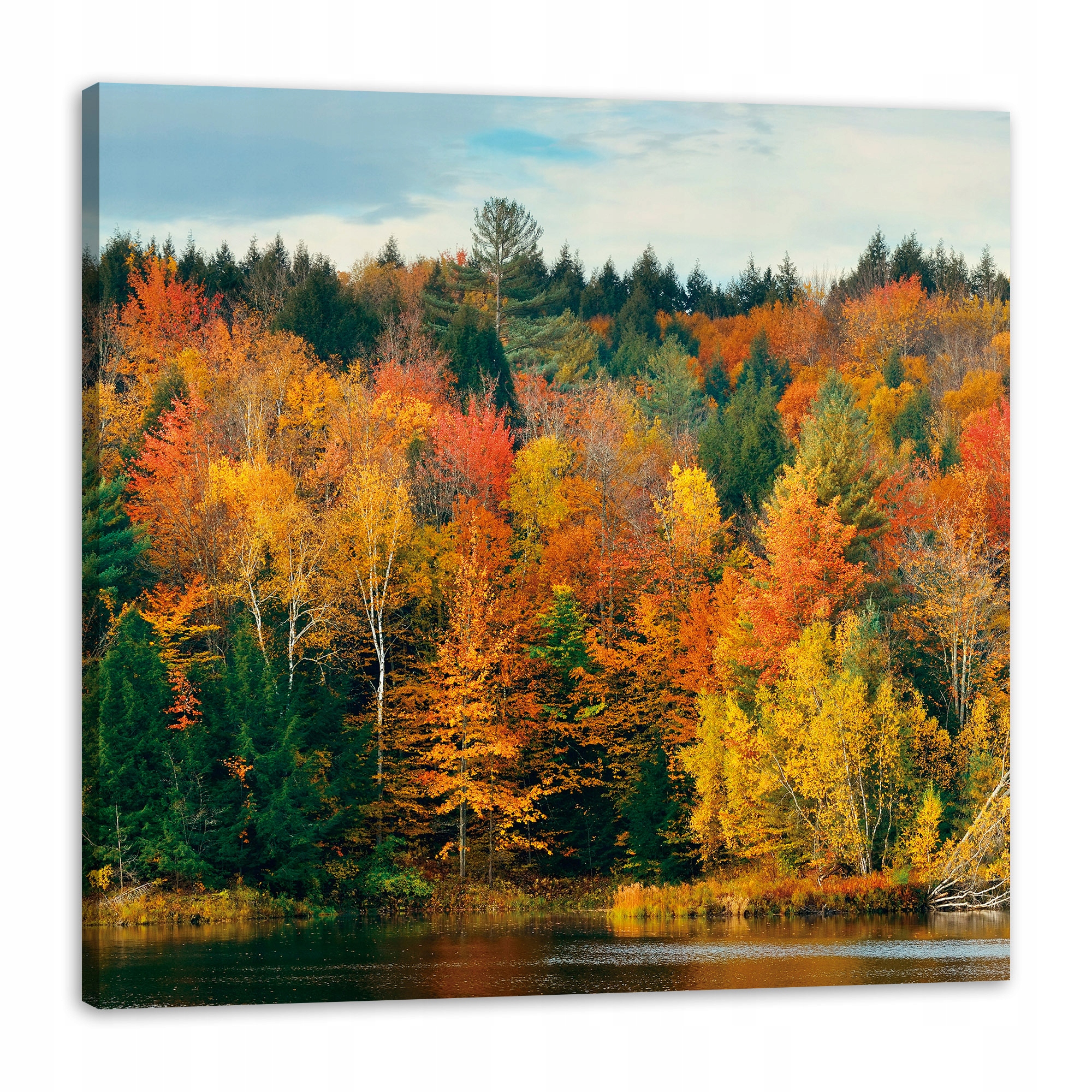 Obraz na plátně Barevné Listy Stromy Podzim Příroda 80x80 cm