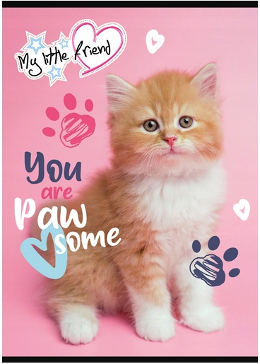 ZESZYT A5 16k LINIA KOLOROWA MY LITTLE FRIEND