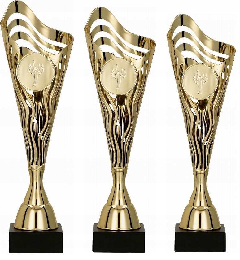 Komplet Puchar Puchary Trofeum Rodzin Grawer