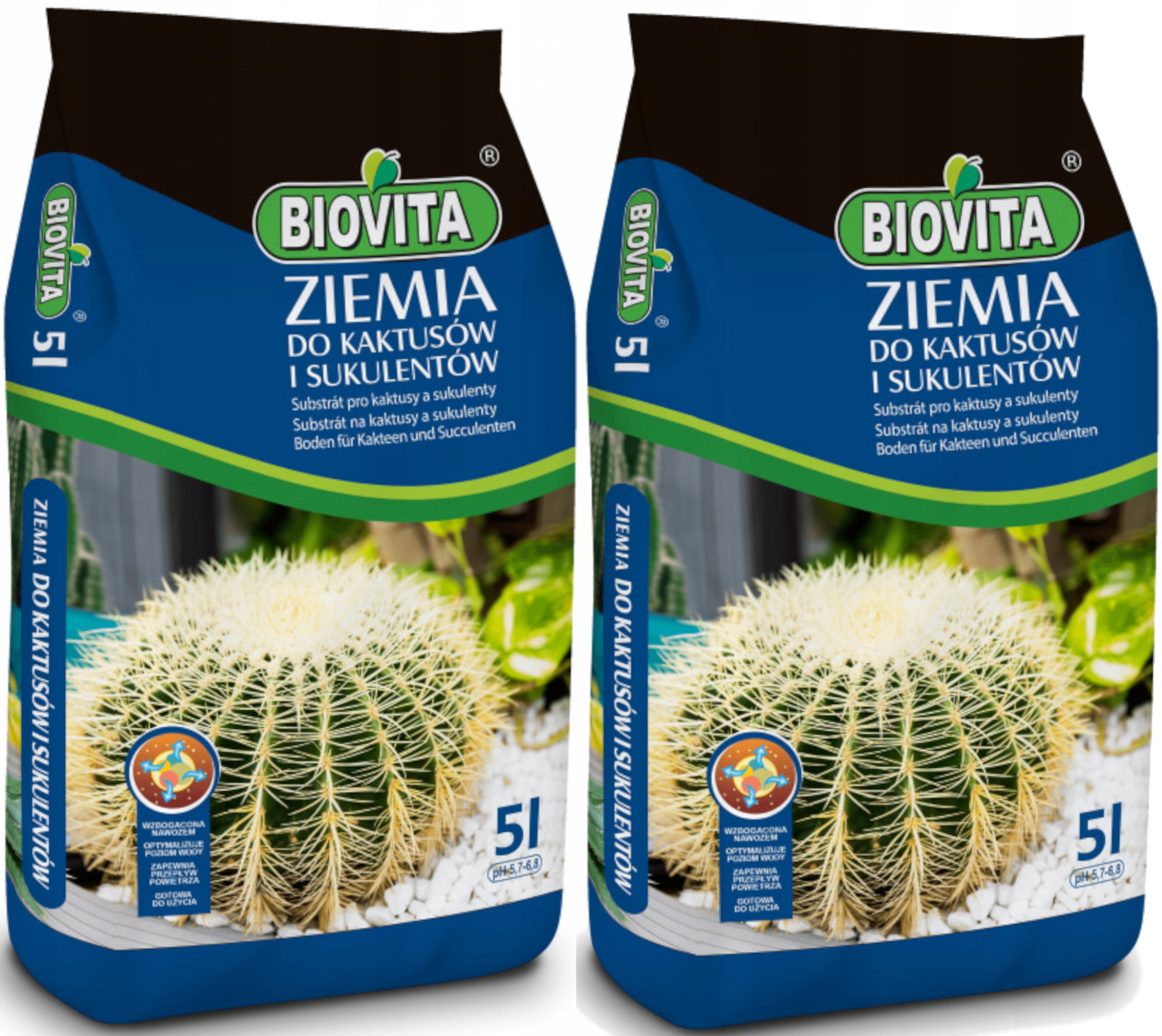 

Ziemia Podłoże do kaktusów sukulentów Biovita 10l