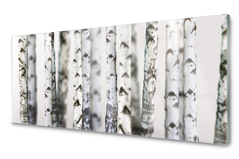 

Panel szklany do kuchni Drzewa 125x50