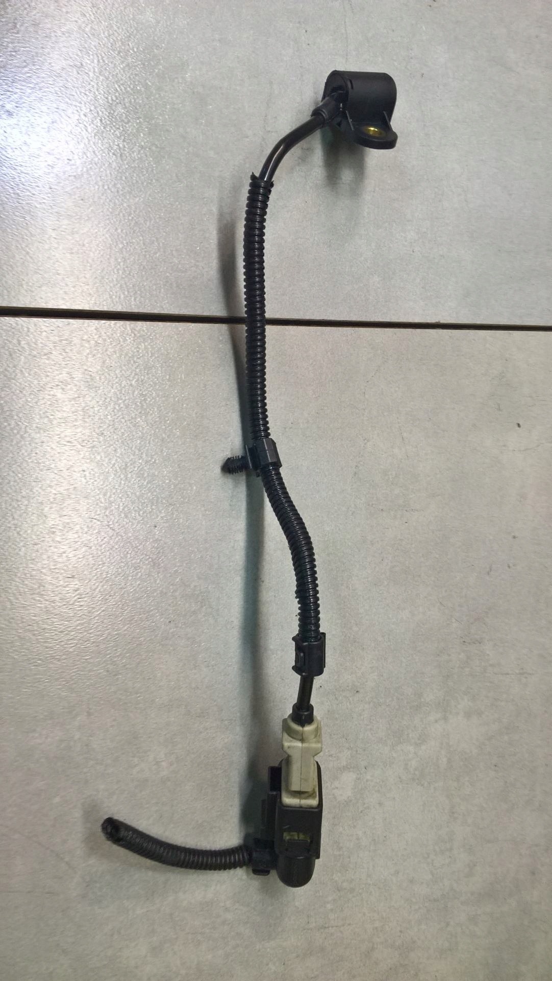 Sensor WALKA des Zahnrads VW TOURAN 2.0 TDI SS11037