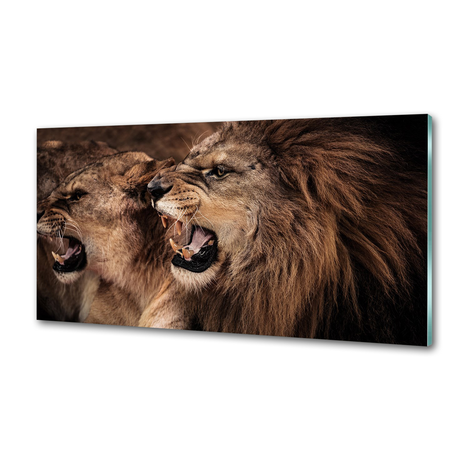 Panel dekor sklo Revúce levy 120x60 cm Lepidlo