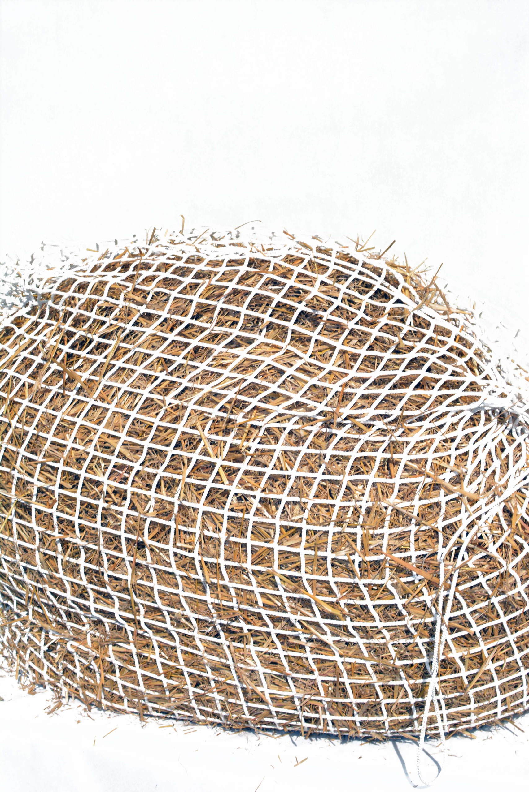 Síť na seno 140 x 130 cm, bílé očko 3 x 3 cm, Velmi Velká