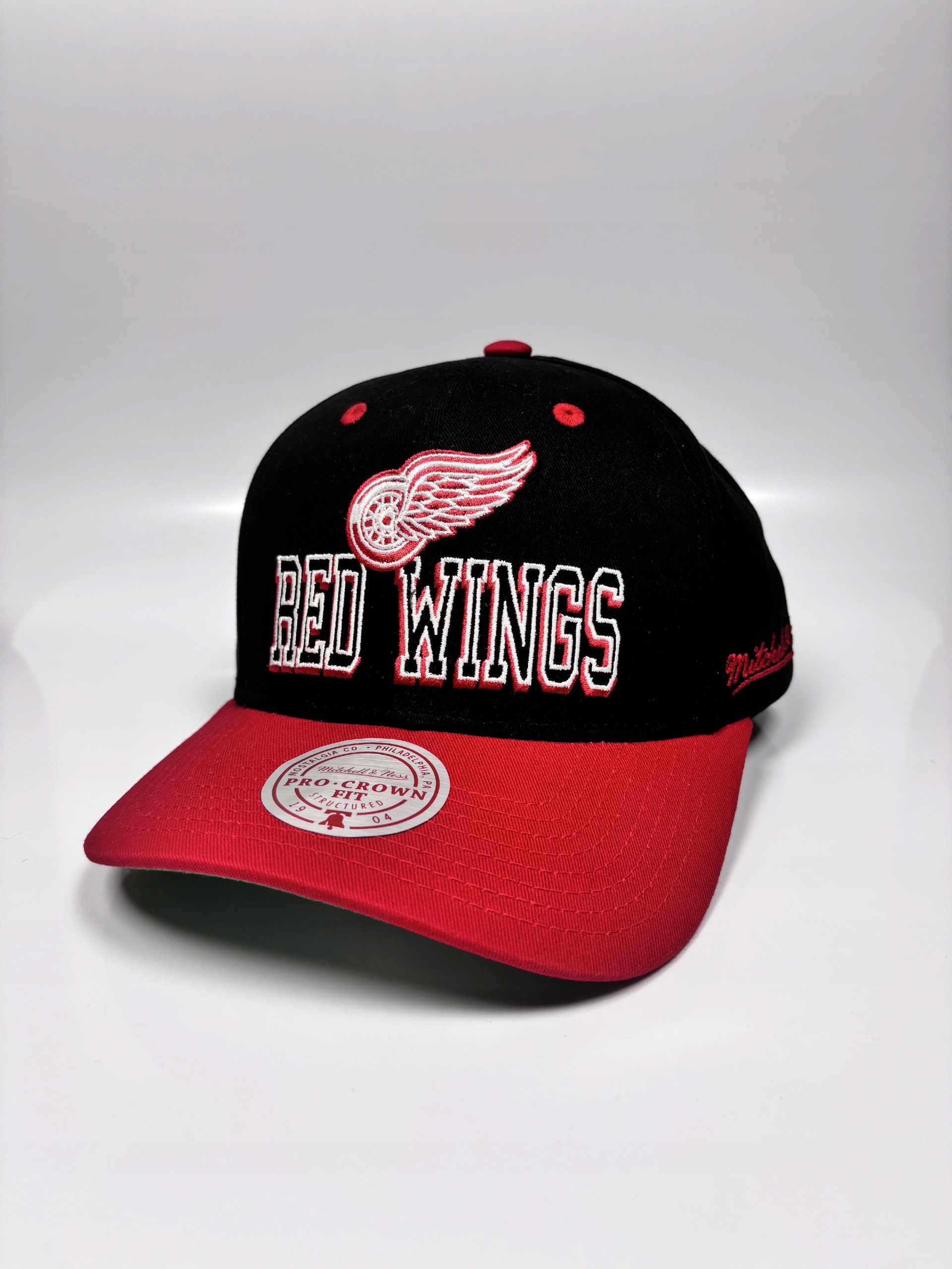 Pánská kšiltovka Detroit Red Wings Nhl Backside Script Pro Snapback