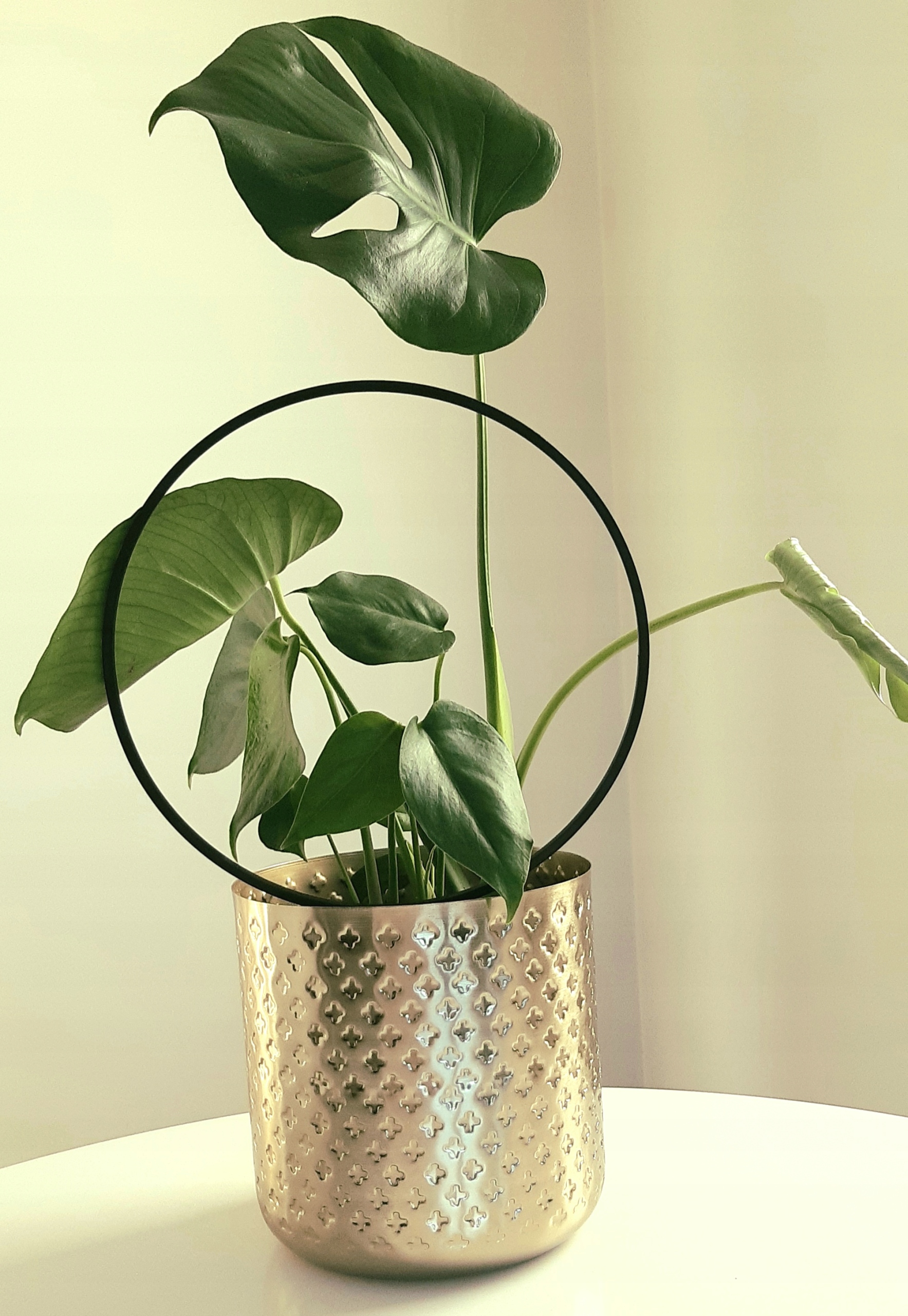 PODPÓRKA PERGOLA DO KWIATÓW KOŁO 1 OBRĘCZ 25,5 cm Marka inna