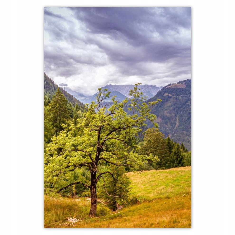 

Plakat 40x60 Drzewo do samoego nieba