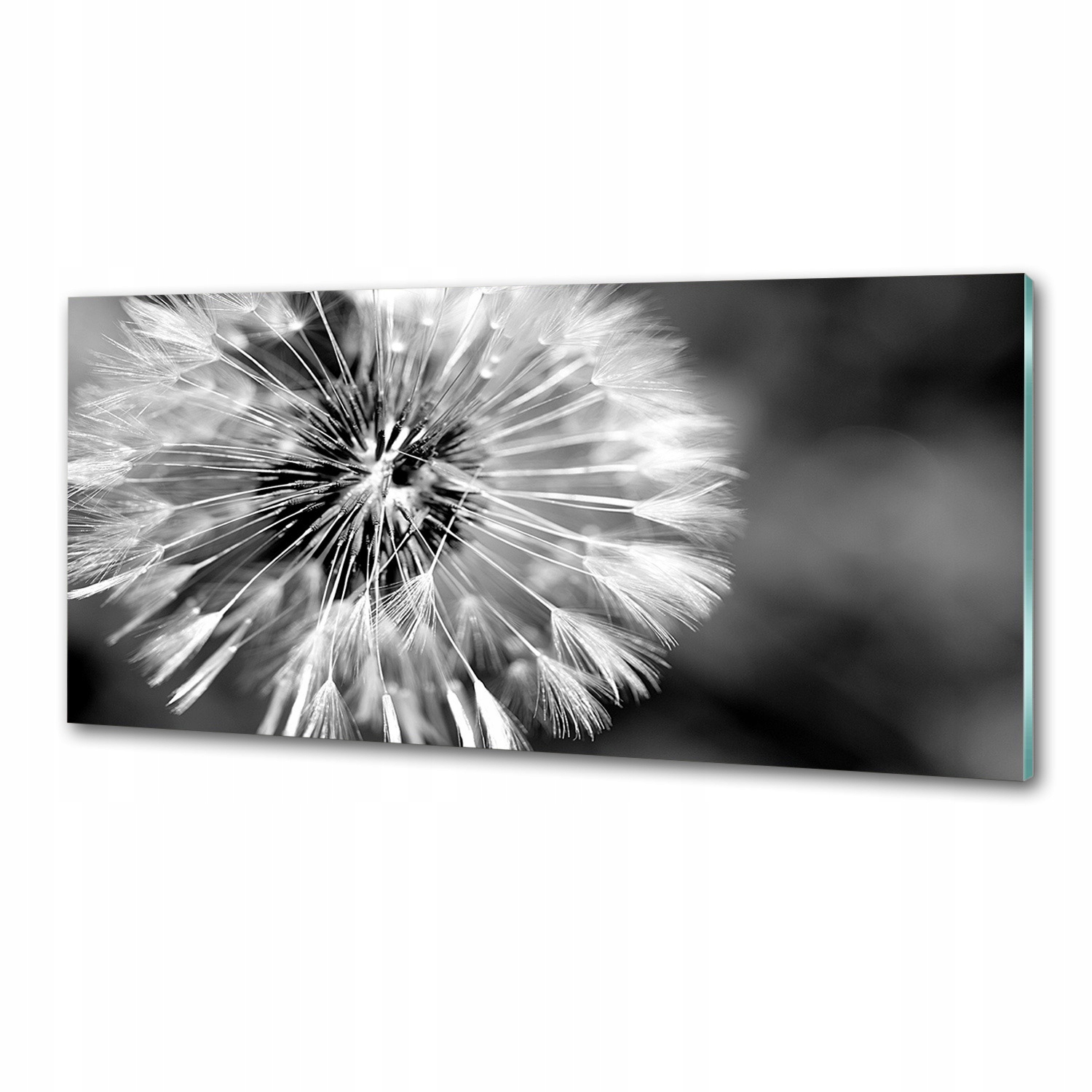 Panel mezi kuchyňským nábytkem Dmychadlo 125x50 Lepidlo