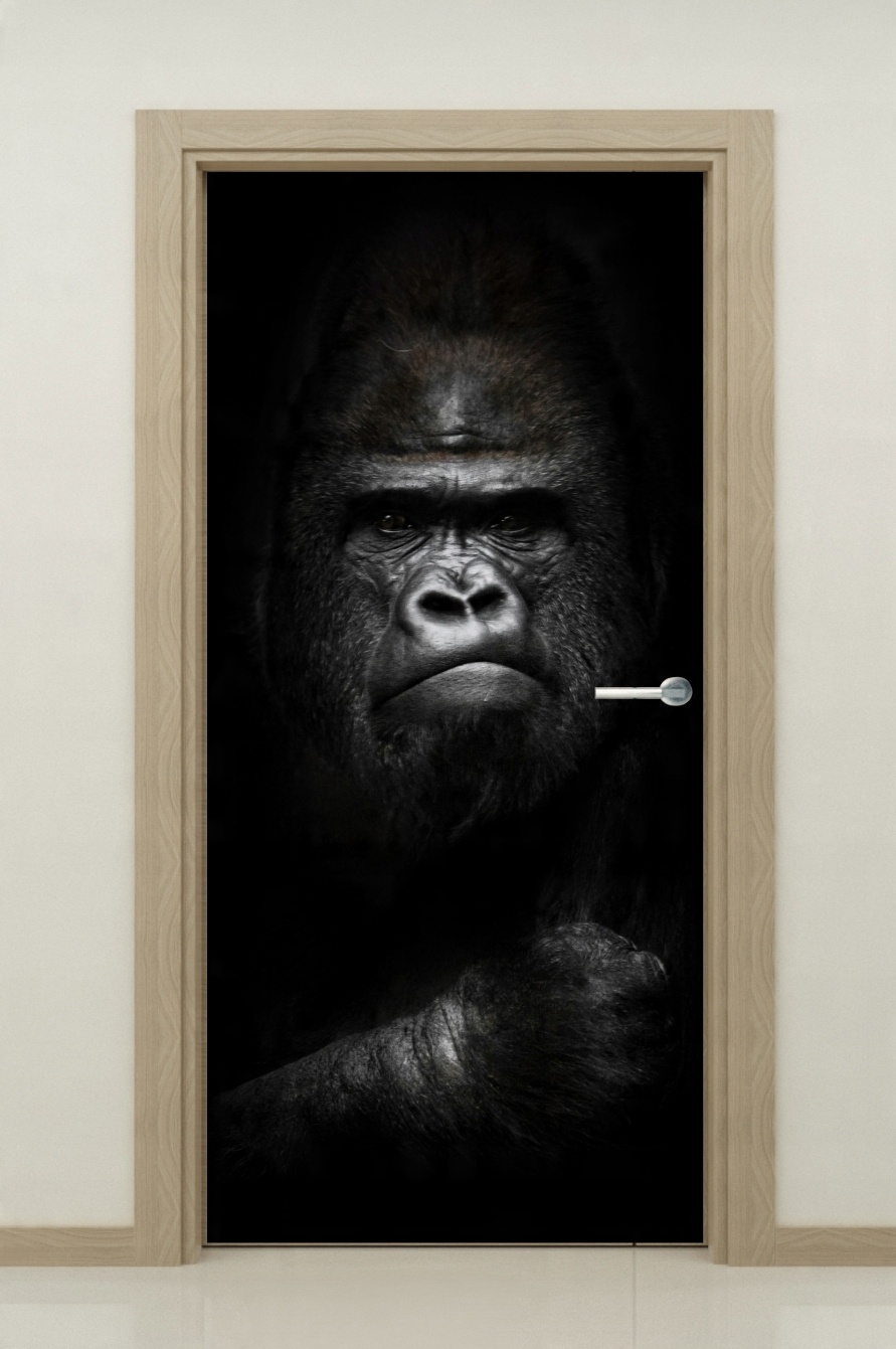 

Naklejka samoprzylepna okleina na drzwi 95x205cm