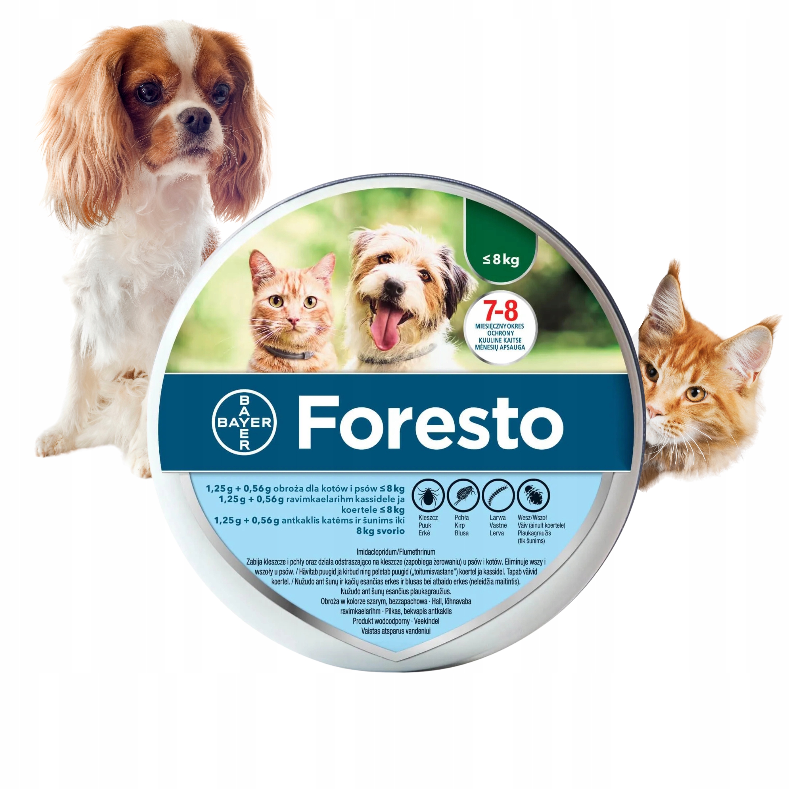 Foresto Obroża Na Kleszcze Pchły Pasożyty Dla Psa I Kota Poniżej 8KG 38CM