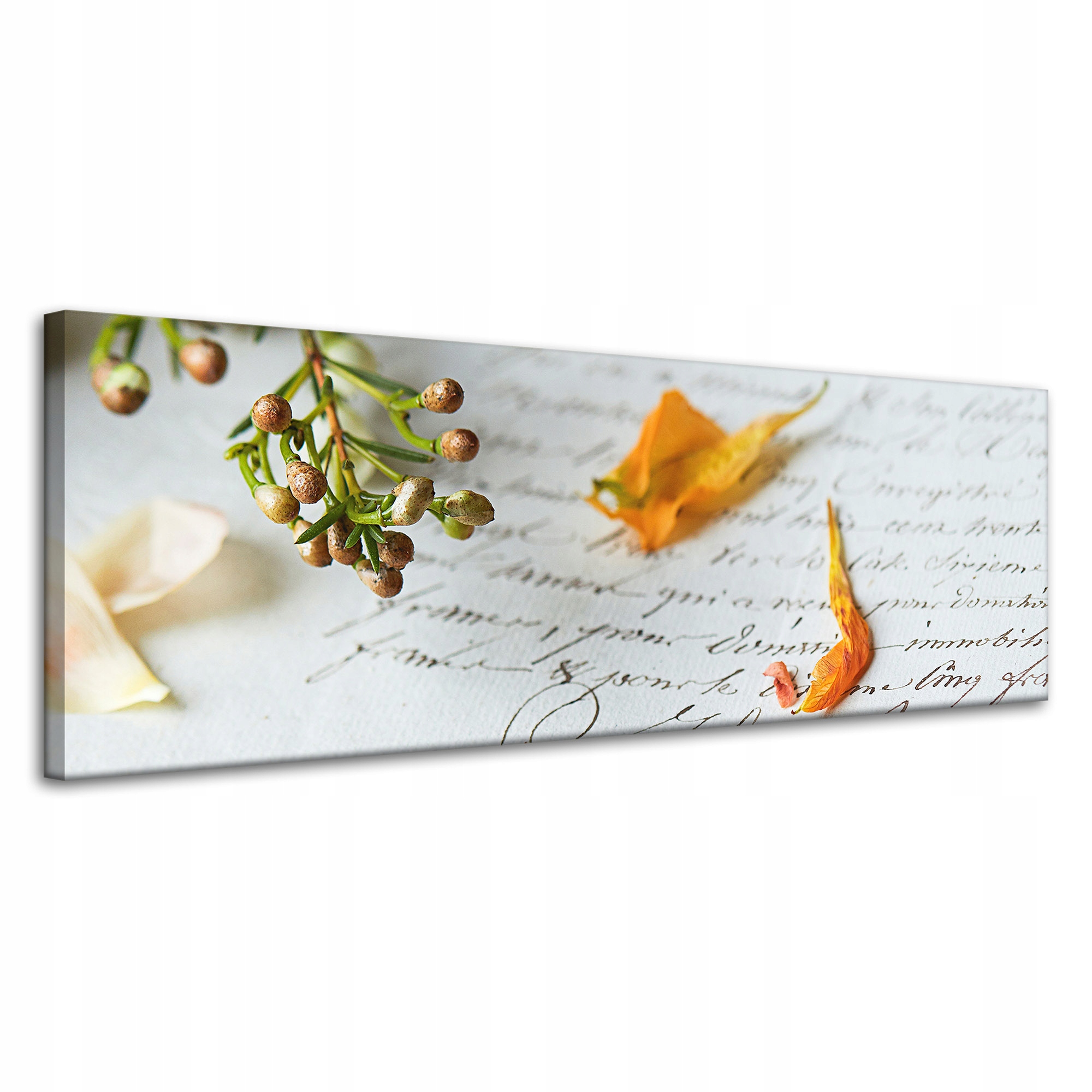 Obrazy na plátně Botanika Okvětní lístky 120x40 cm