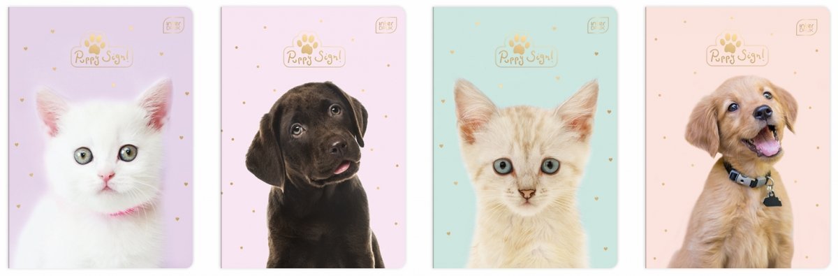 ZESZYT KRATKA A5 32 KARTKI SZKOŁA DZIECI KRATA