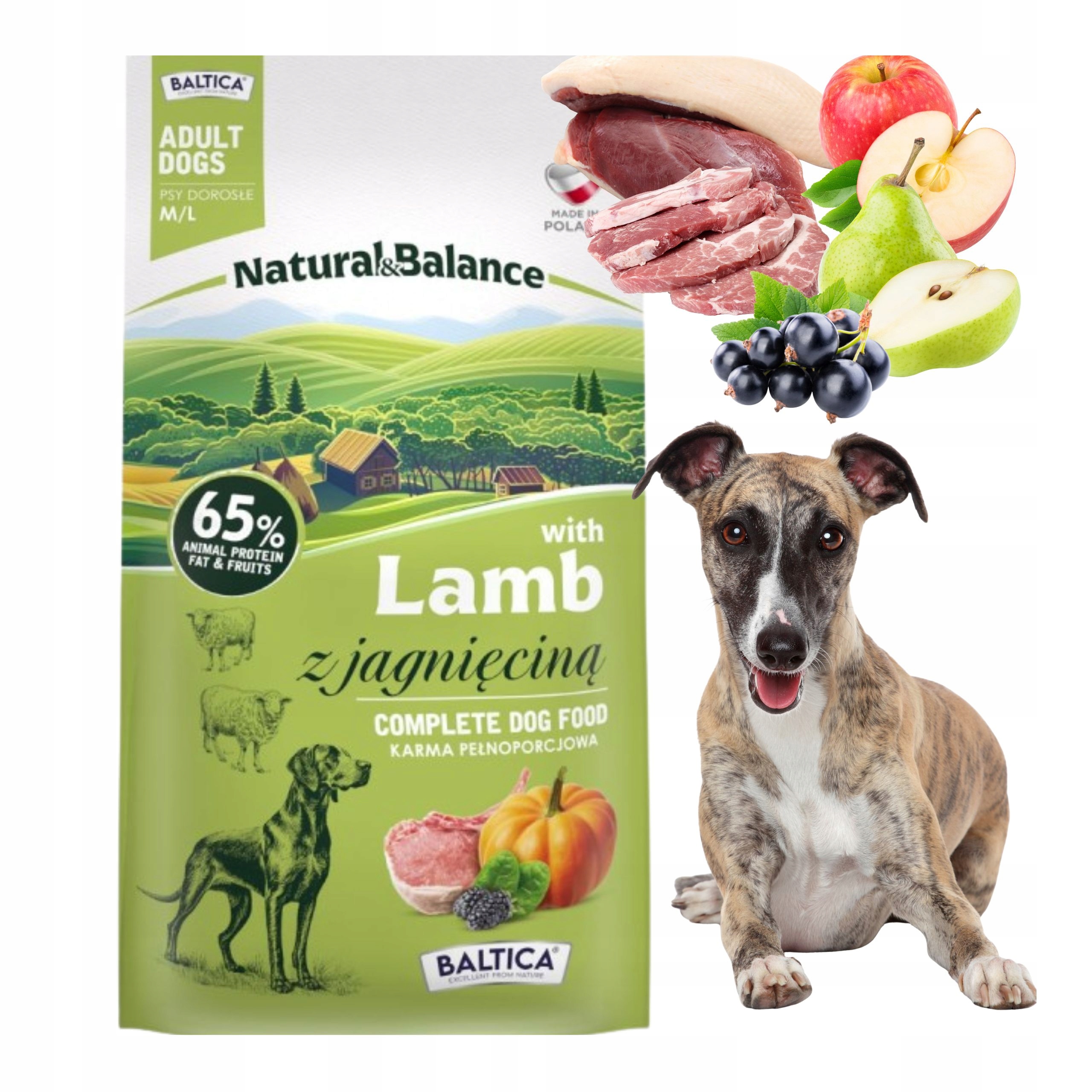 Levně Baltica krmivo pro vybíravé psy Natural&balance Jehněčí S Ovocem 3kg