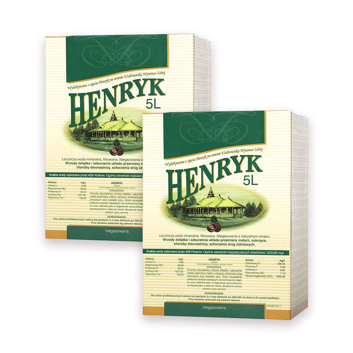 Levně Léčivá minerální voda Henryk 5 l x 2 kusy