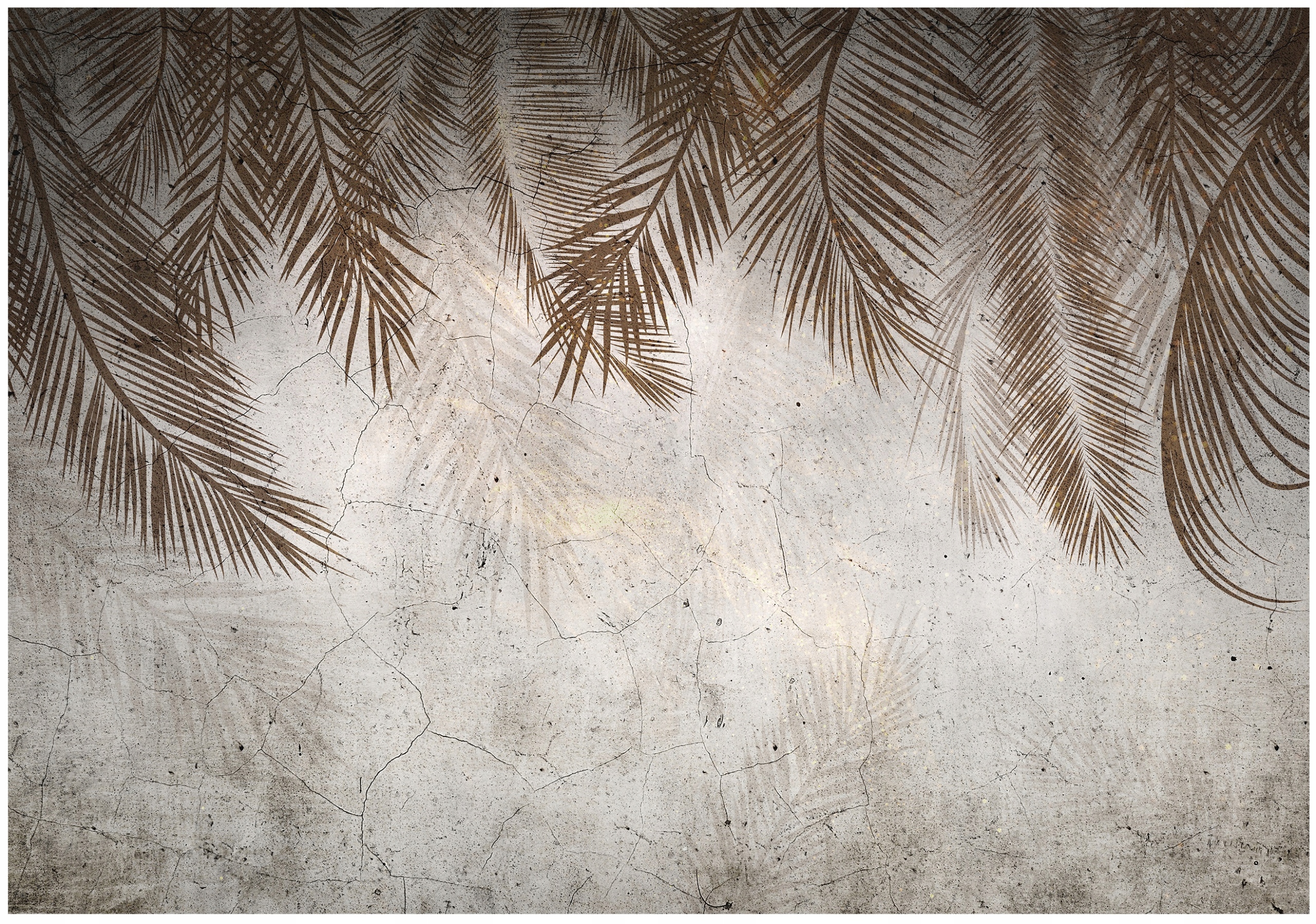 Fototapeta Listy Palmy Béžové Peří Na Flizelině Stěna Tapeta 350x250