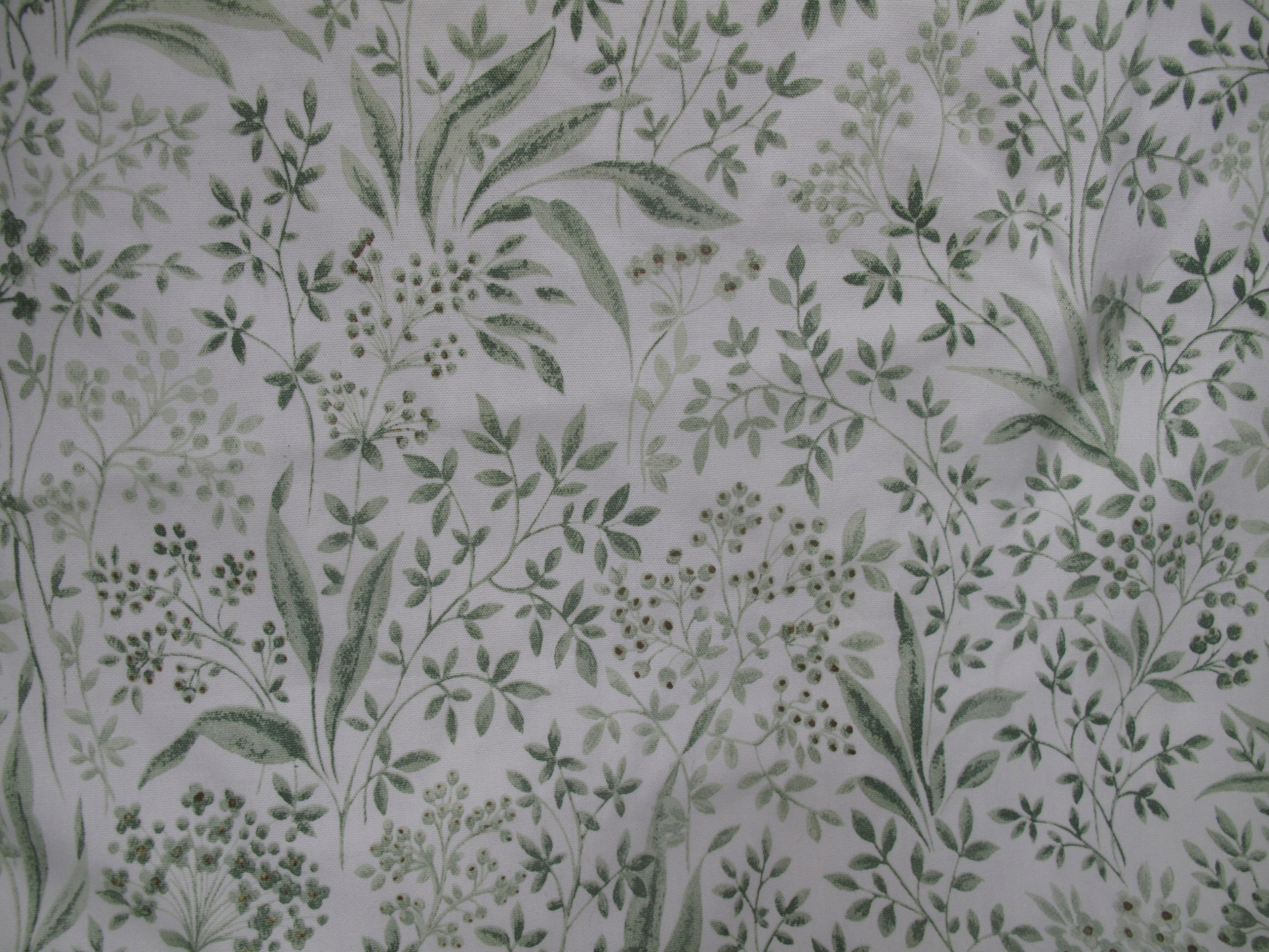 ZIELONA ŁĄKA DUŻA ZASŁONA 1