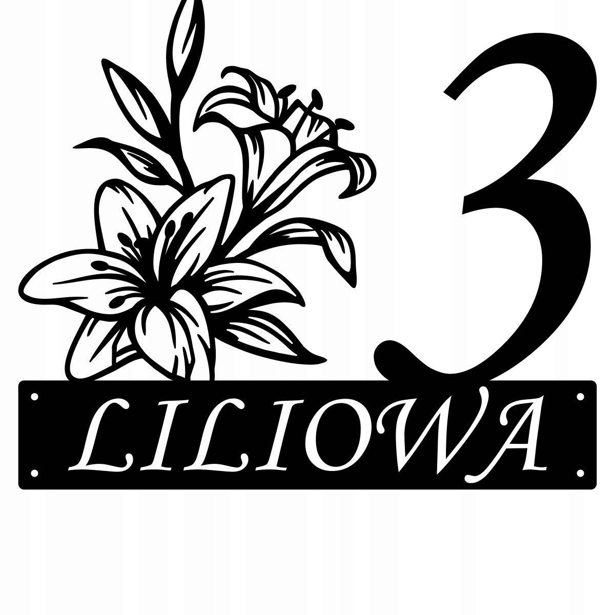 Číslo Na Dom 80 cm Tabuľa Adresa Ocel 2MM ul. Liliowa