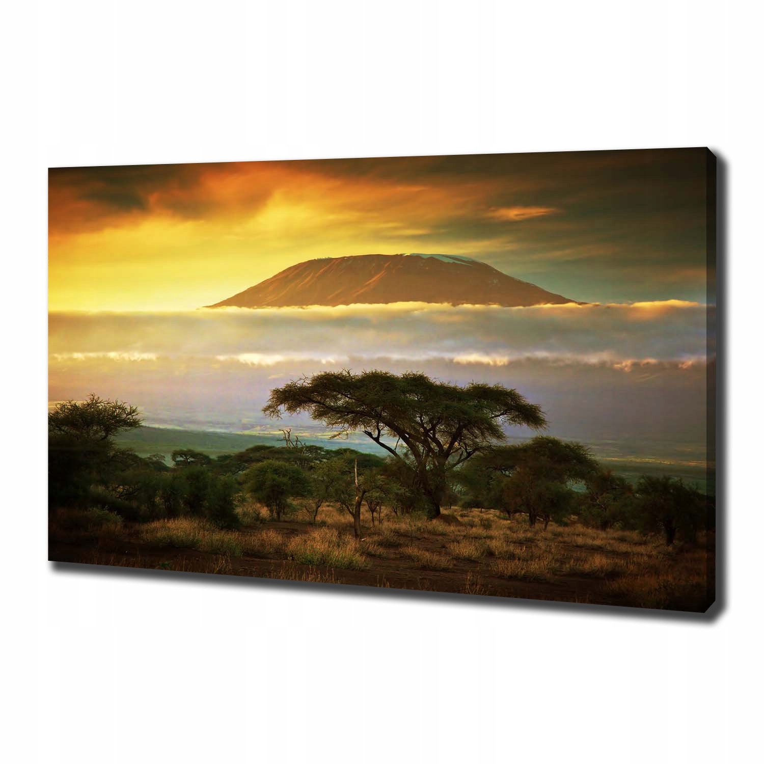 

Foto obraz na płótnie Kilimandżaro Kenia 100x70 cm