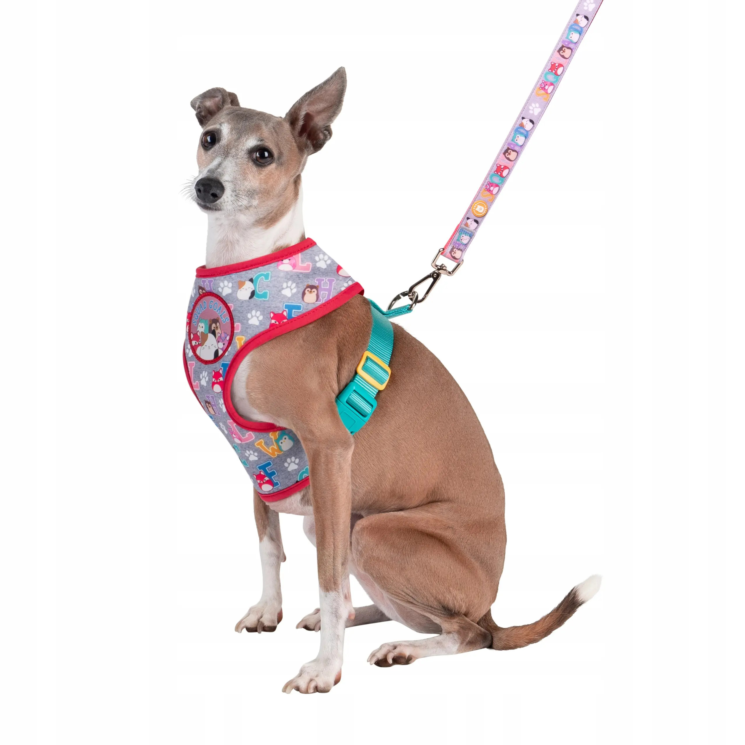 Levně Jas Pets Postroj Pro Psa M Jazwares