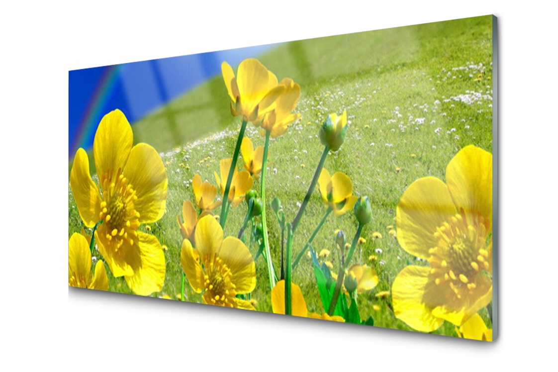 

Panel szklany dekor Łąka Kwiaty Tęcza 120x60