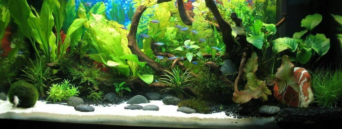 10 KG BIAŁY PIASEK KWARCOWY ŻWIR AKWARIUM 0,1-0,5 Frakcja 0.1-0.5 mm