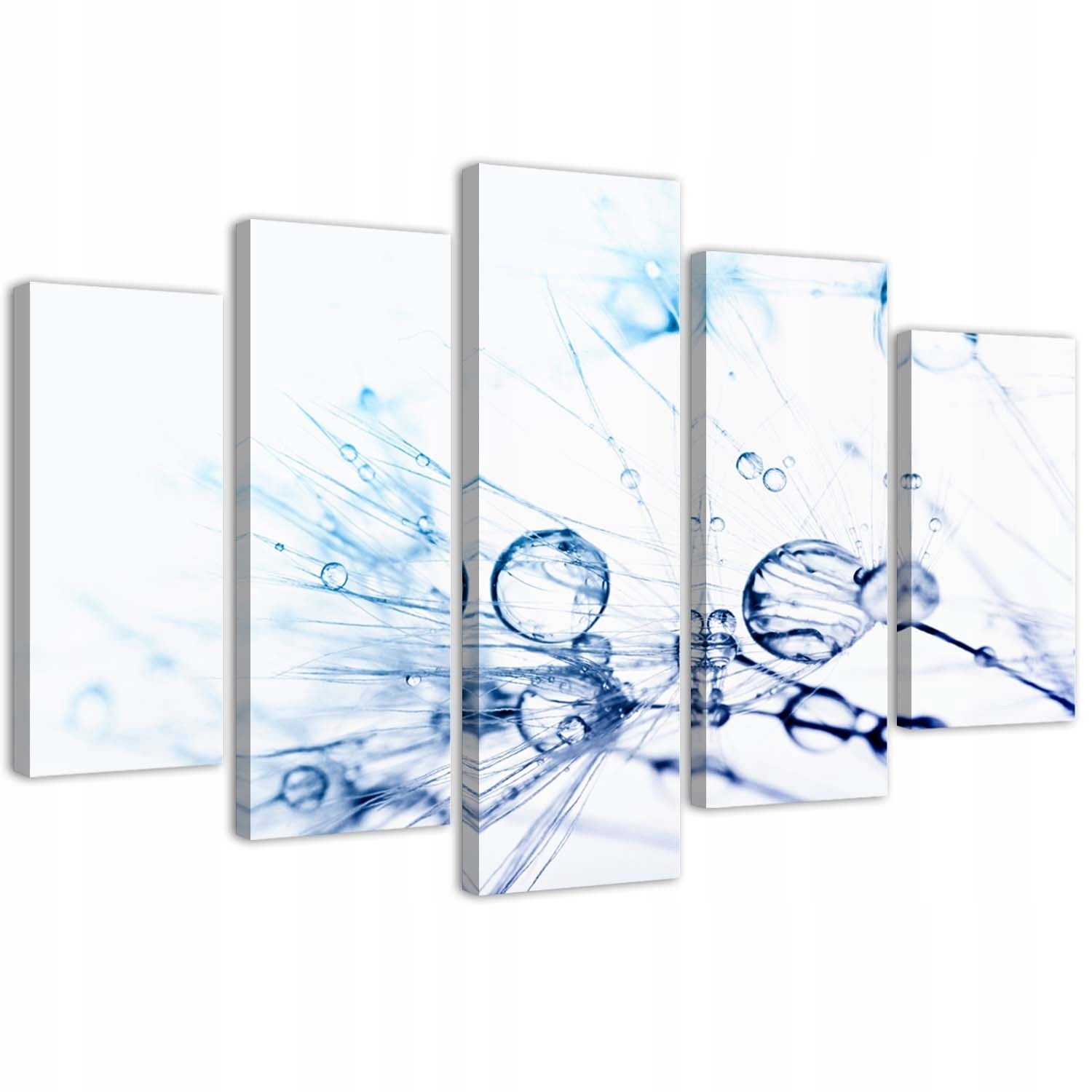 5-dielny obraz na plátne, Kvapky vody na púpave 100x70
