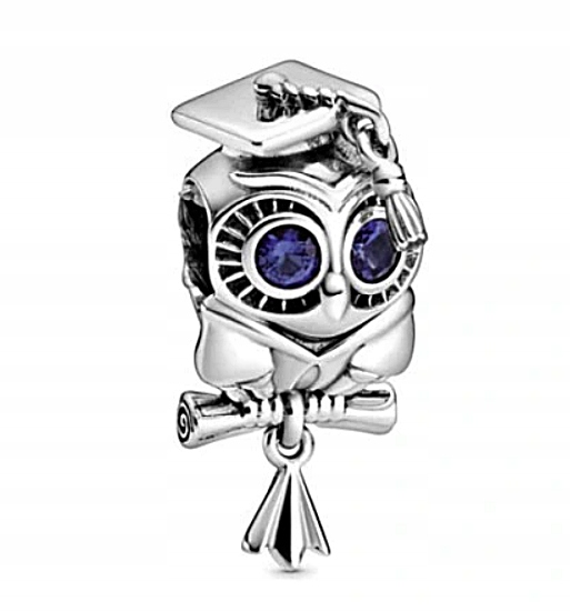 CHARMS ZAWIESZKA sowa absolwent naukowiec S925