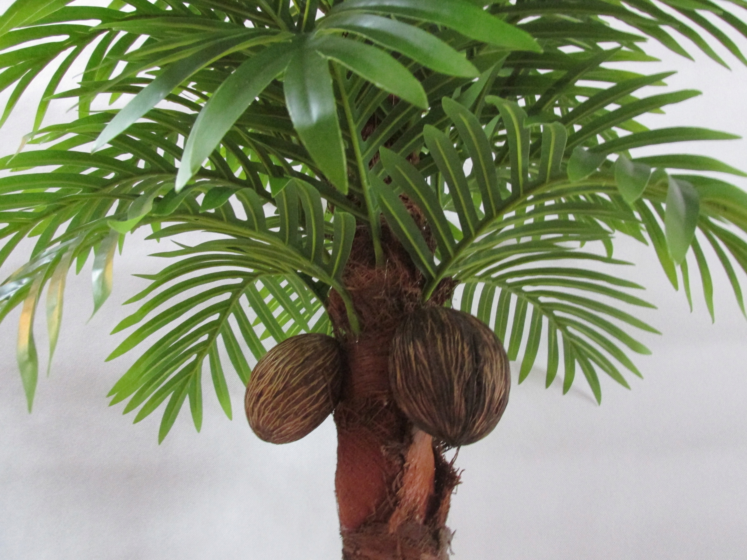 Umelá palma Cykas Umelý kvet 160 cm Maximálna výška 160 cm