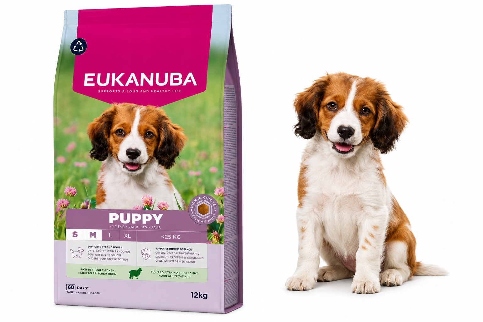 Eukanuba Puppy Junior Small Medium Jehněčí Rýže Suché Krmivo 12kg