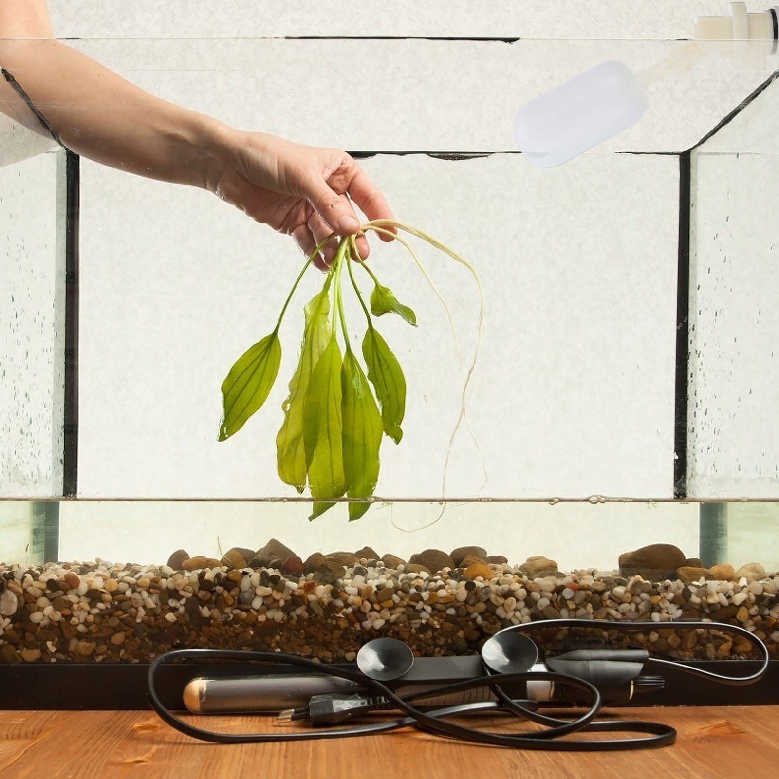 PLASTIKOWY ZAWÓR ZBIORNIKA WODY PŁYWAK Rodzaj zawór