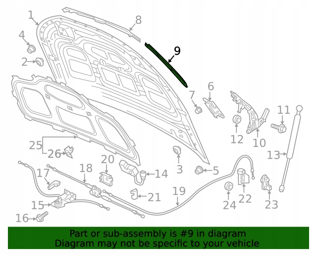 USZCZELKA MASKI PRAWA OE AUDI Q5 2018-2024 Numer katalogowy części 80A823126
