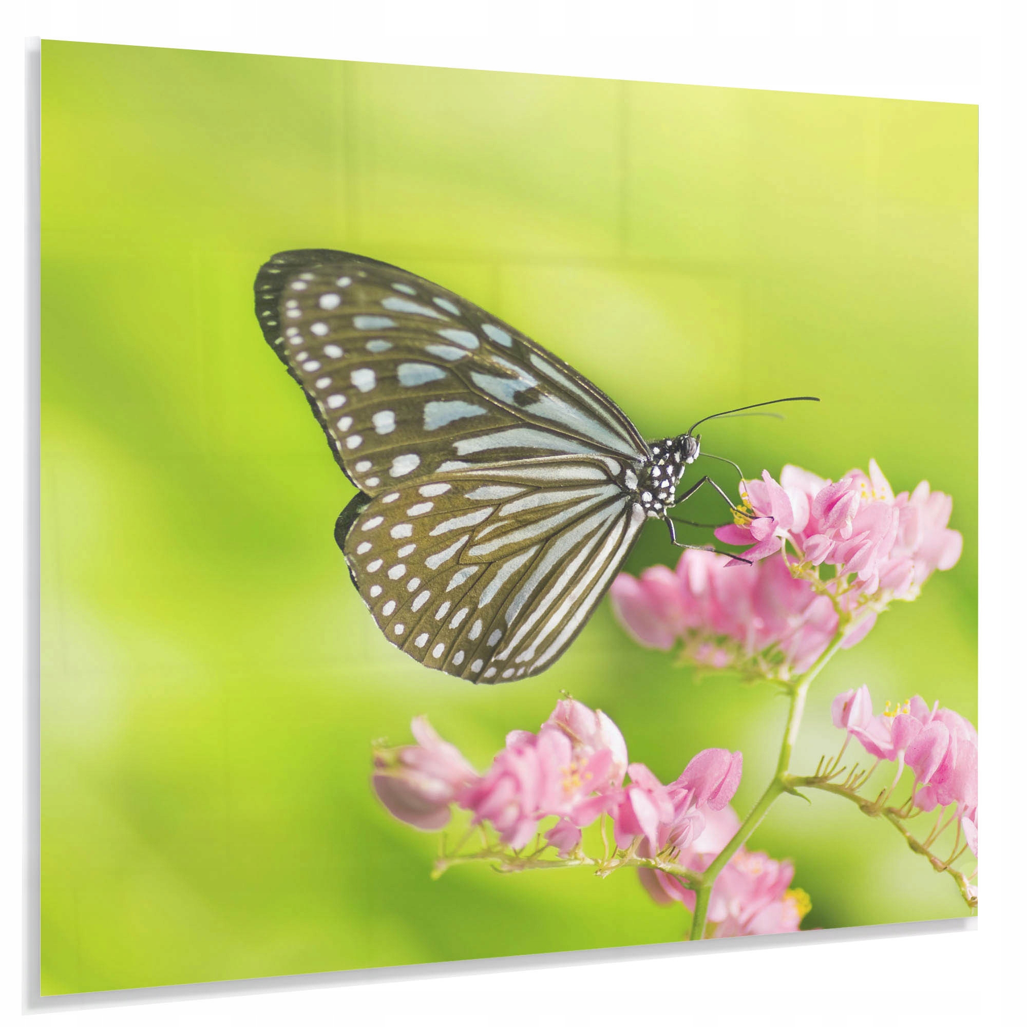 Tvrdený Panel 60x50 cm 4 mm Ochranný Dekoračný Lacobel Do Kuchyne