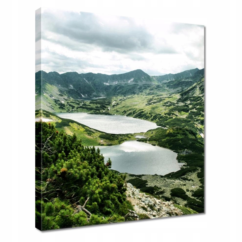 

Obrazy 40x50 Dolina Pięciu Stawów