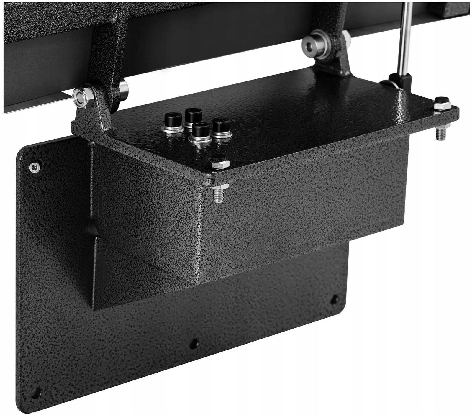 Waga platformowa ścienna 300kg 100g 55x45cm Steinberg SBS-PWS-300 10031003