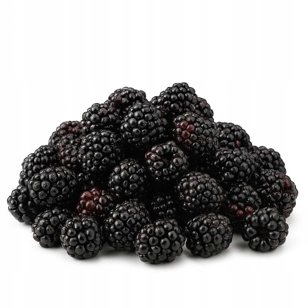 Jeżyny leśne mrożone bogate źródło witamin jakość 2,5kg Suchy lód