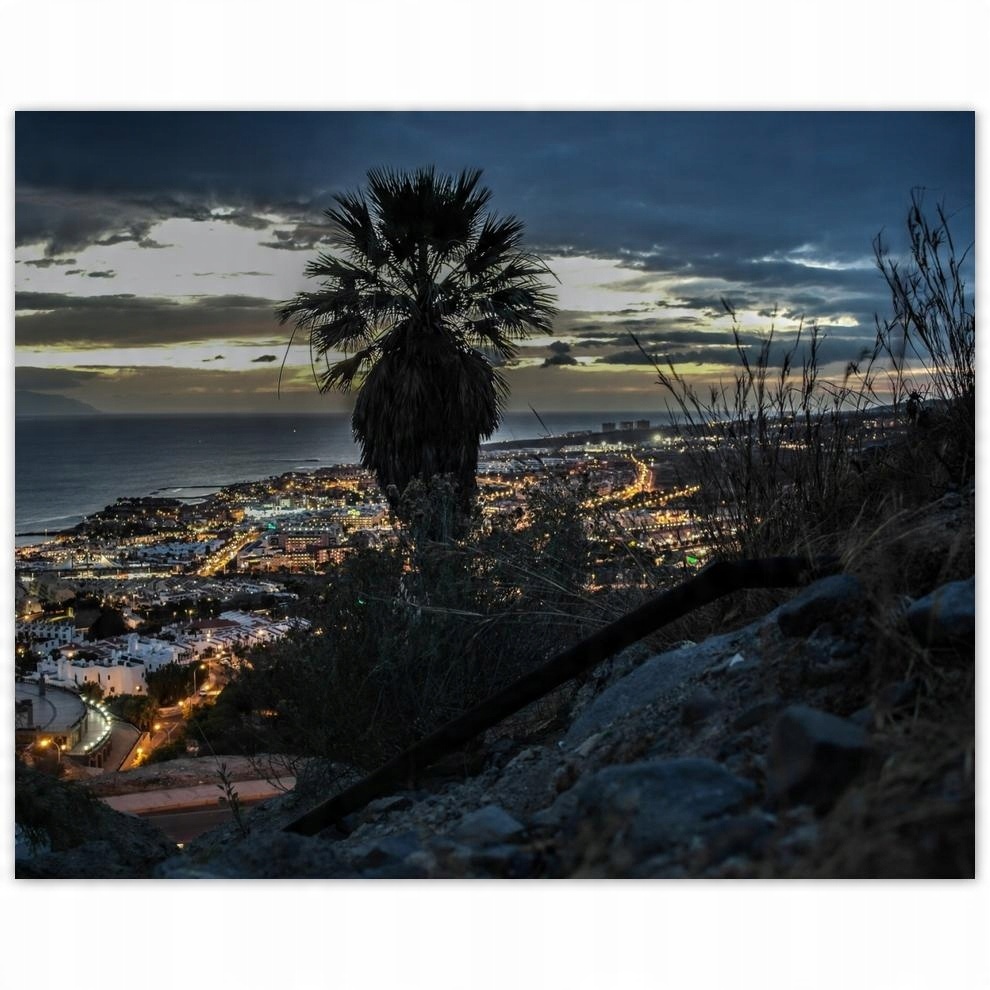 

Plakat 50x40 Krajobraz palmą