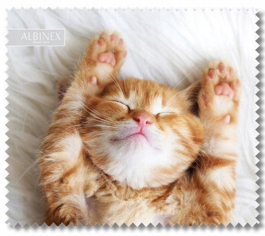 

Ściereczka Do Okularów Albinex Mikrofibra Z Wzorem