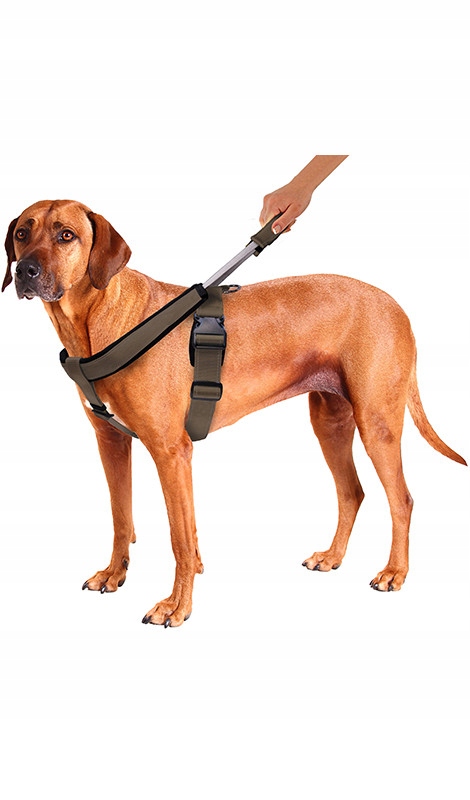 

Patento Pet Szelki Sport czerwone rozmiar M