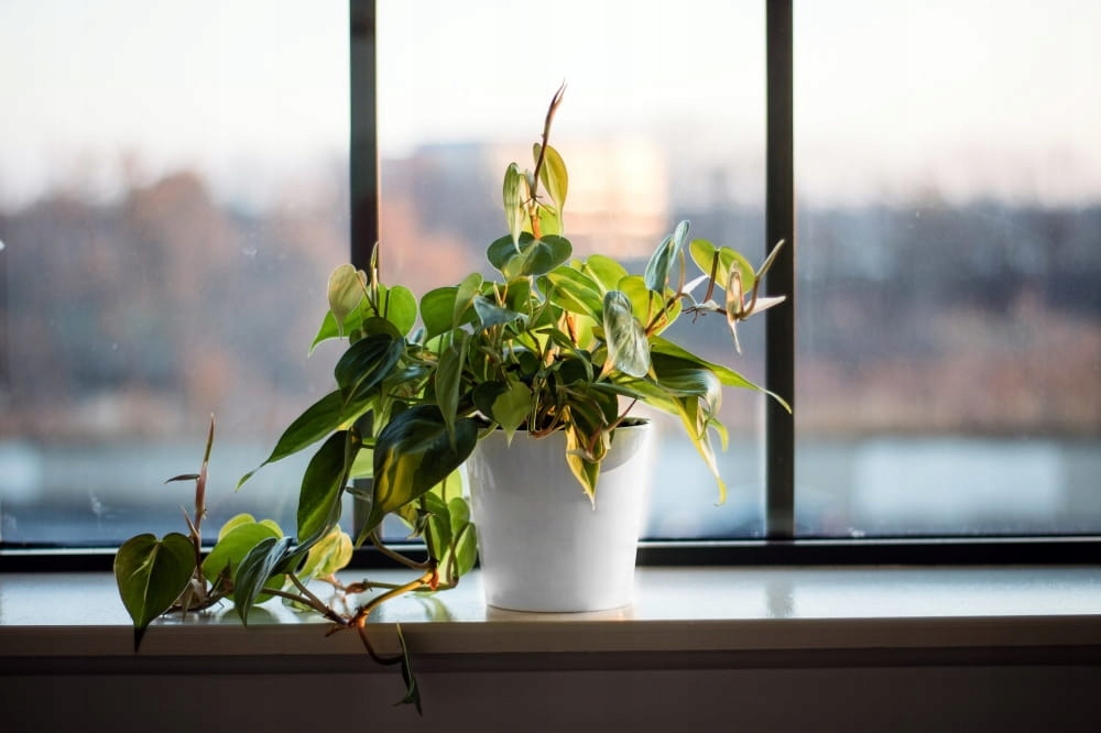 CERAMICZNA OSŁONKA DONICZKA 15CM BIAŁA Marka Polnix